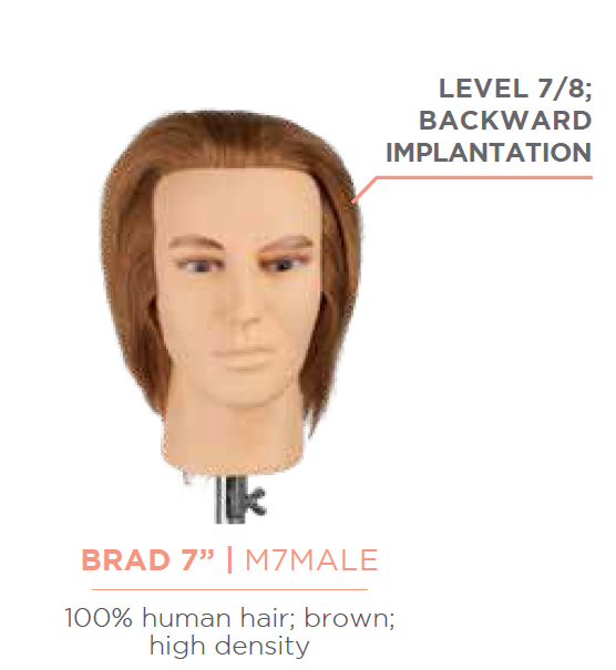 Male Mannequin Head 7" 100% human hair brown, high density